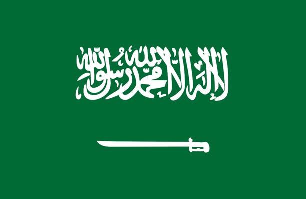 Flag of the Arab league.