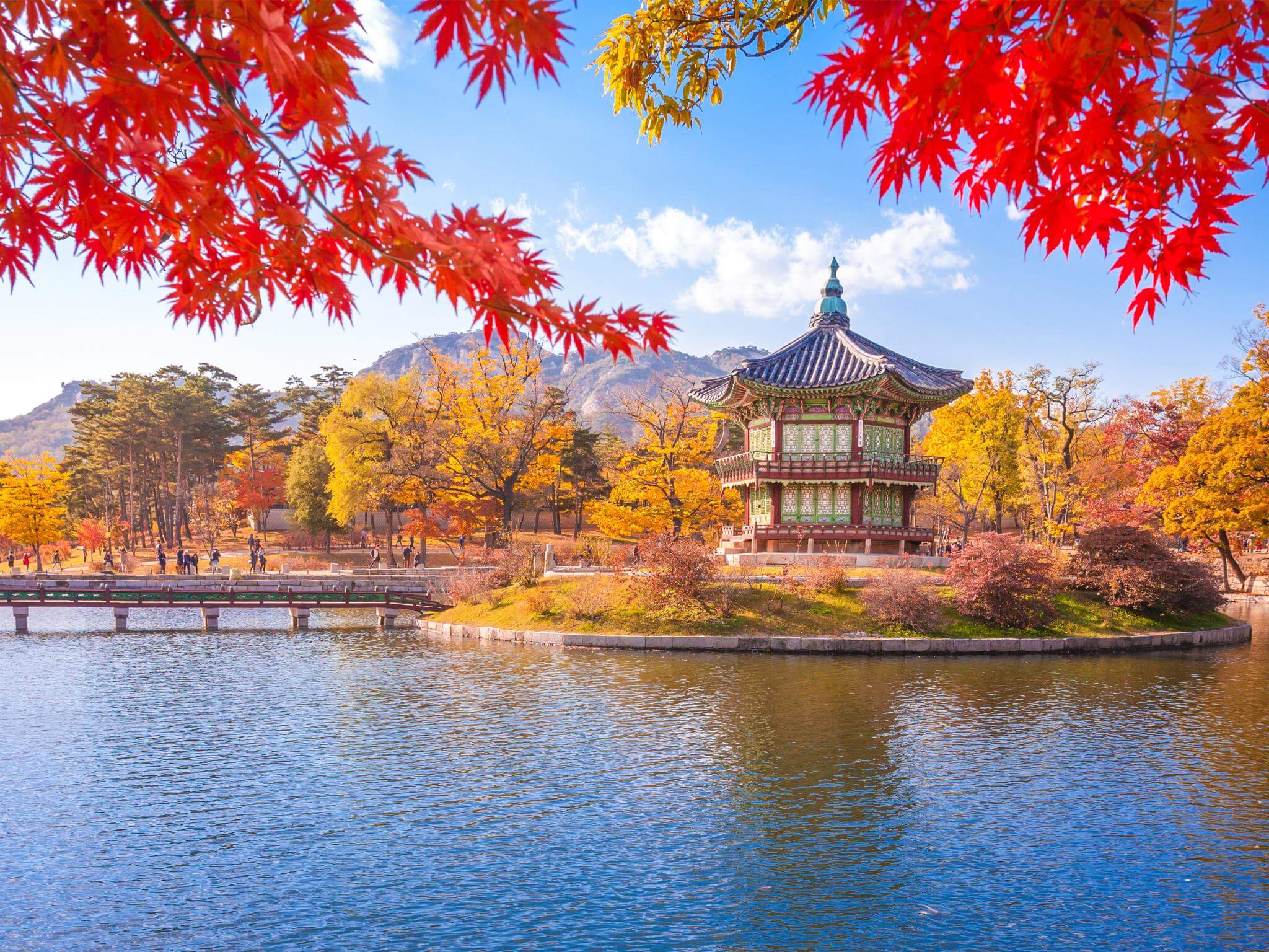A view of Gyeongbokgung palace in Seoul, South Korea, with Maple leaves and a blue sky. Concept of the history of Korean language and words.
