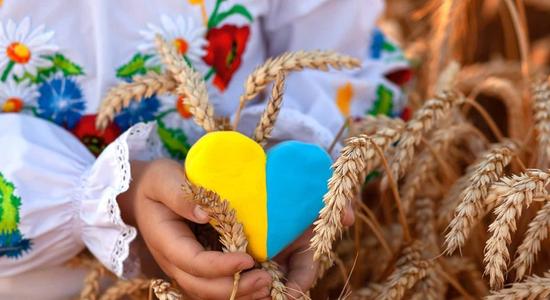 A child's hands holding a yellow-blue stone heart over wheat.