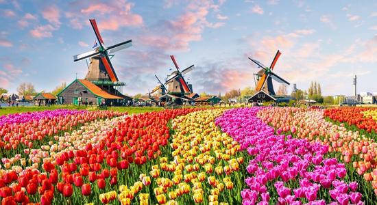 Paintmill De Kat, an octagonal windmill in Zaandam, the Netherlands.
