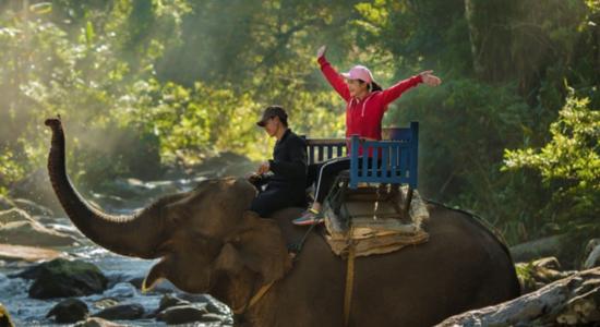 Happy Asian women riding an elephant. Concept of Sinhala translators.