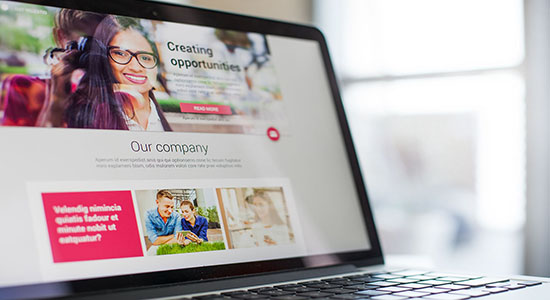 A computer screen showing a professional company's website.