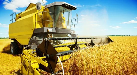 A yellow harvesting machine harvesting crops in a golden wheat field. 